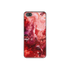 iPhone 5
